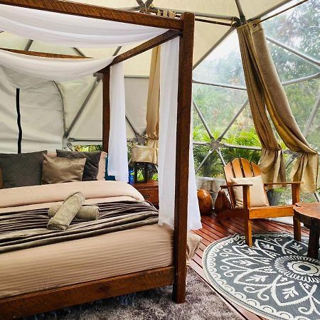 Celeste Glamping Guatape Otel Dış mekan fotoğraf