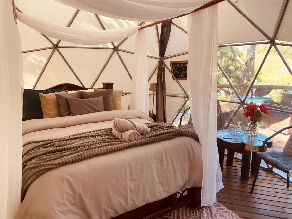 Celeste Glamping Guatape Otel Dış mekan fotoğraf